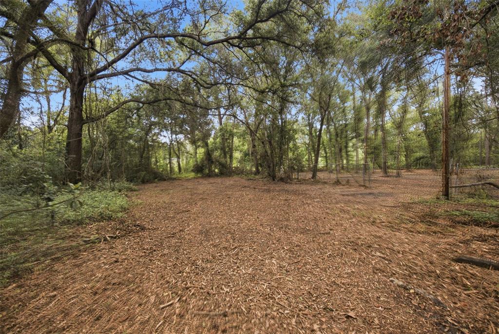 0 Old Dade City Road Kathleen, FL 33849 - Photo 9 of 29 Gallery Image 9