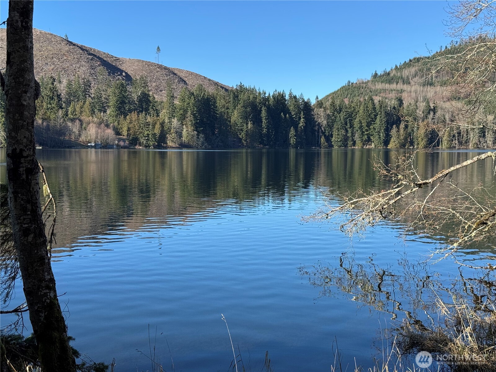 0 Mineral Creek Road North Mineral, WA 98355 - Photo 12 of 40