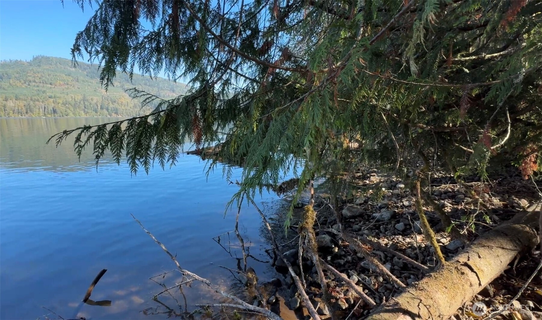 0 Mineral Creek Road North Mineral, WA 98355 - Photo 13 of 40