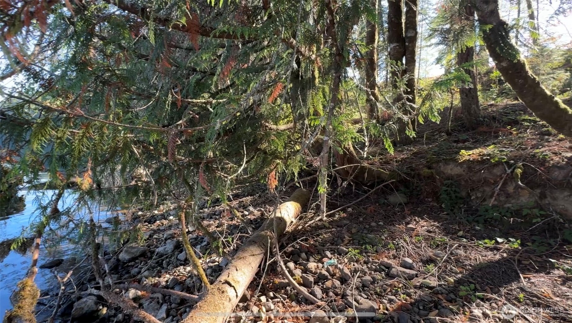 0 Mineral Creek Road North Mineral, WA 98355 - Photo 15 of 40