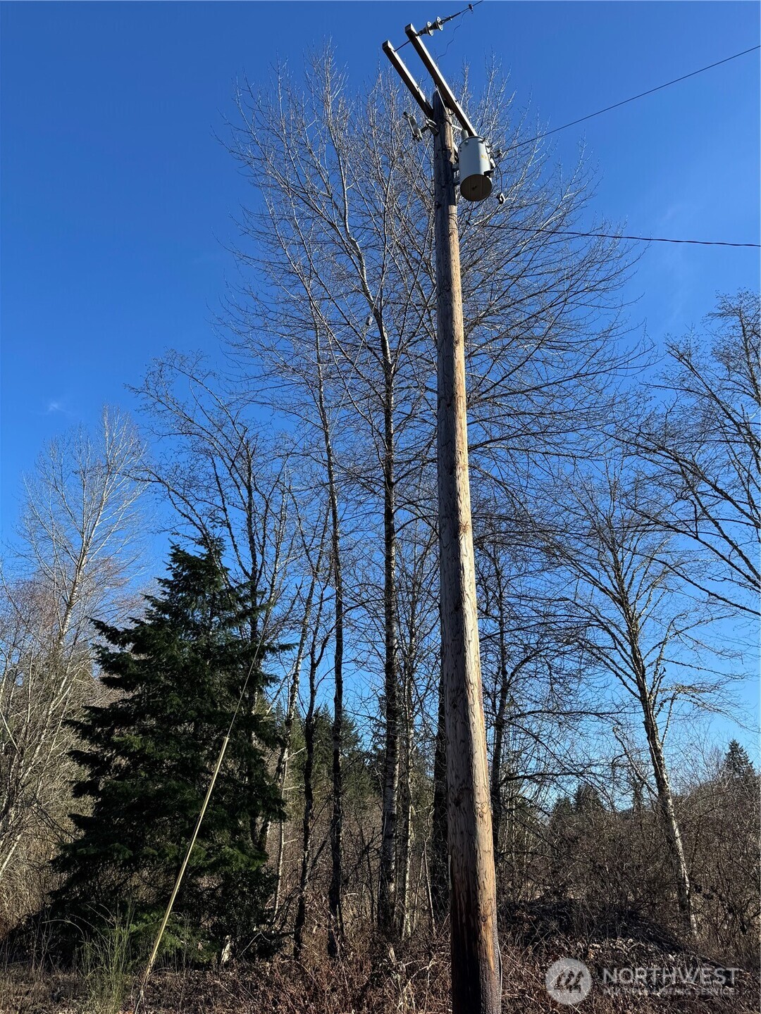 0 Mineral Creek Road North Mineral, WA 98355 - Photo 27 of 40