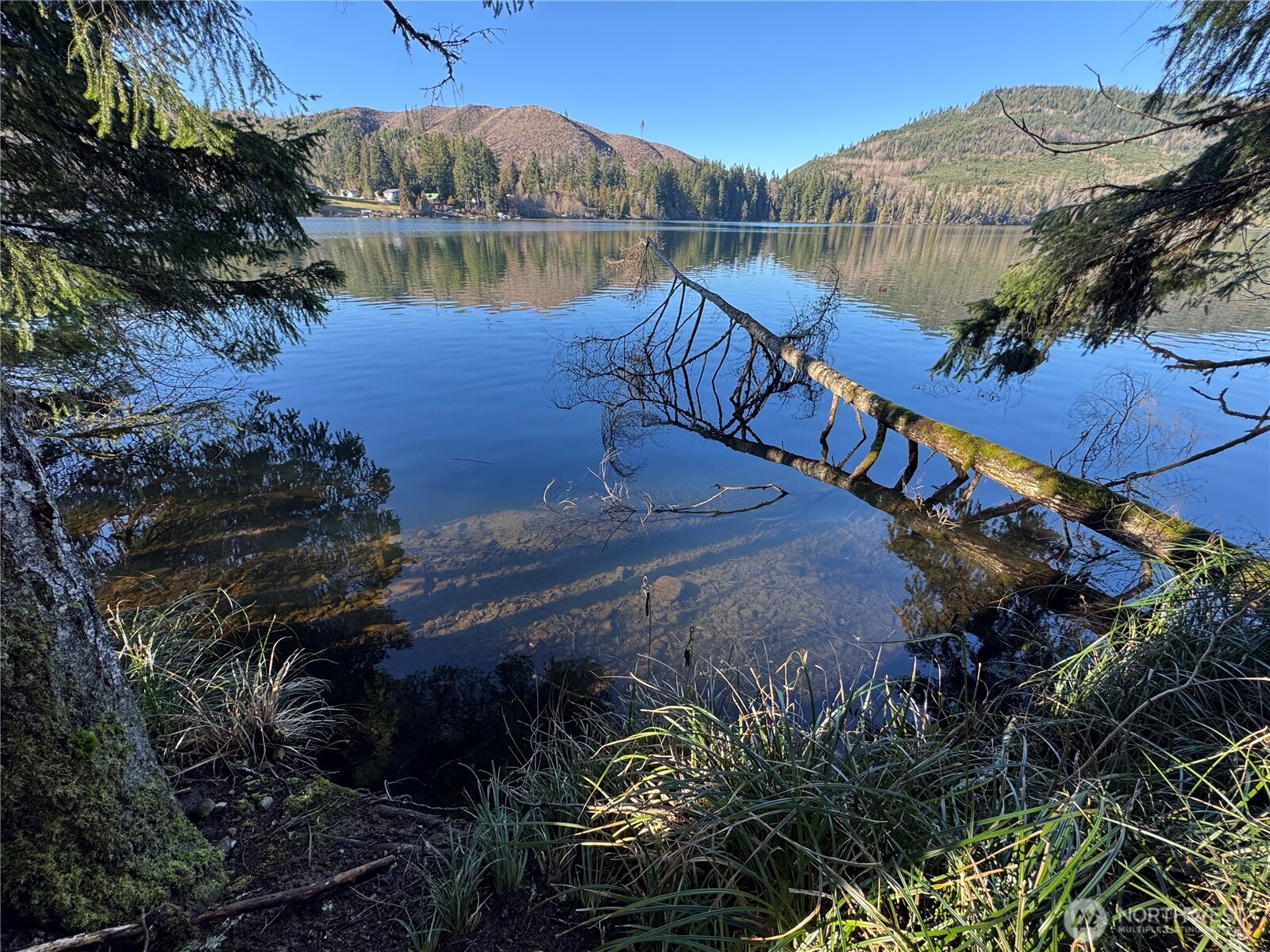 0 Mineral Creek Road North Mineral, WA 98355 - Photo 3 of 40
