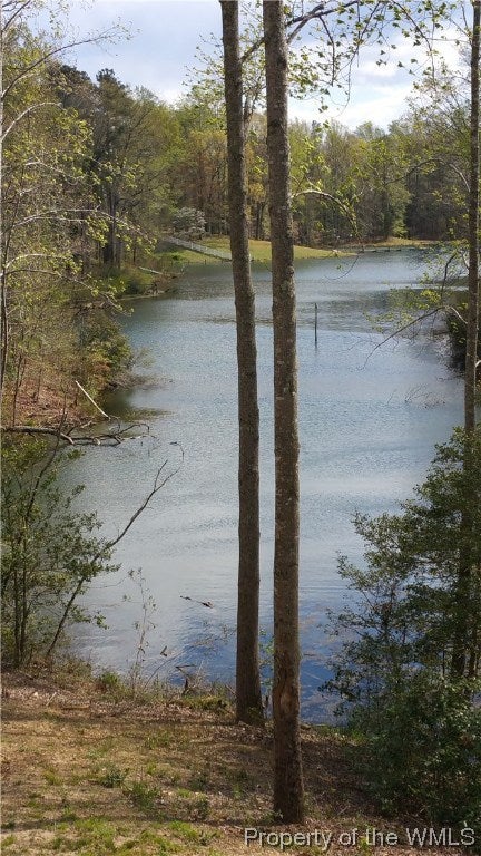11541 Groves Road New Kent, VA 23124 - Photo 42 of 49 Gallery Image 42