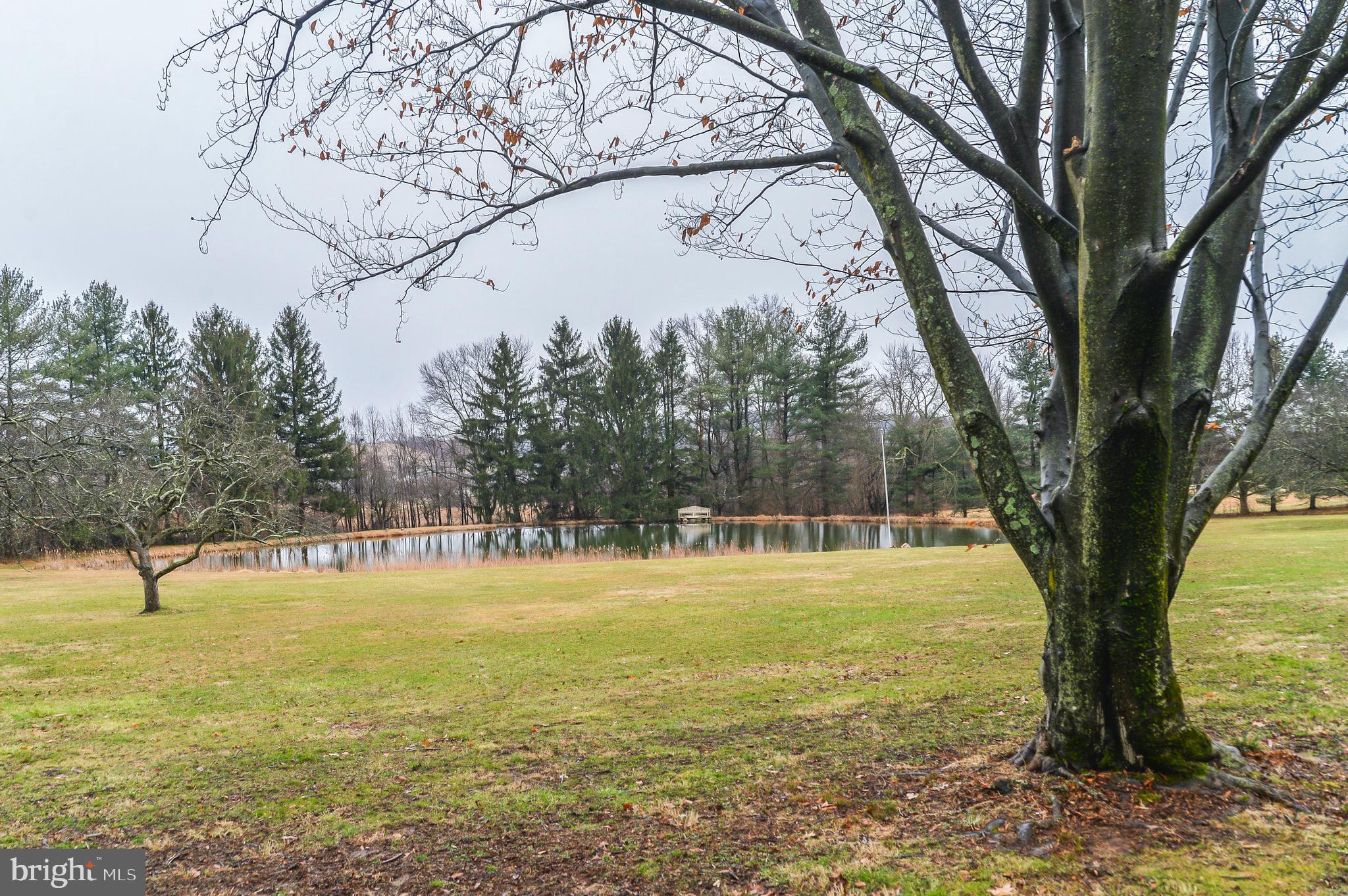 2213 Old Rte 100 Barto, PA 19504 - Photo 14 of 15 Front Pond view