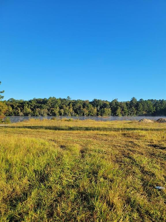 1 Alton Circle Waycross, GA 31501 - Photo 1 of 1