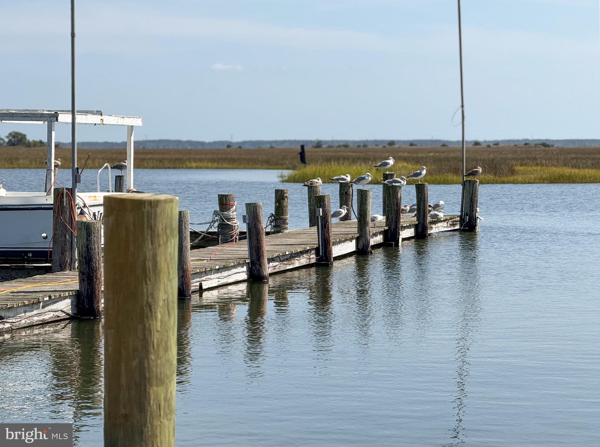 25830 Rumbley Road Westover, MD 21871 - Photo 54 of 59 a view of ocean with city view