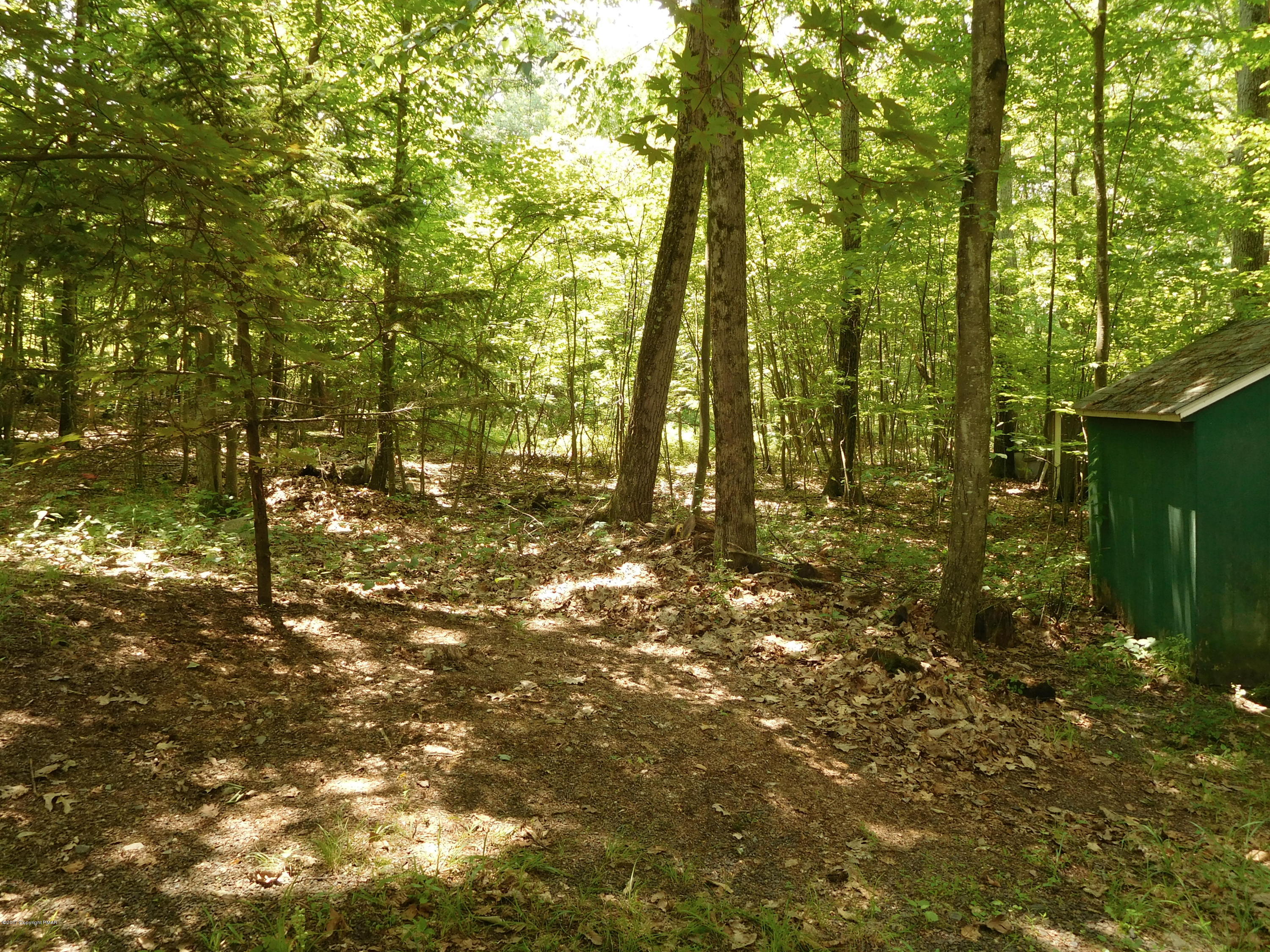 286 Rown Road East Stroudsburg, PA 18302 - Photo 8 of 21 side yard