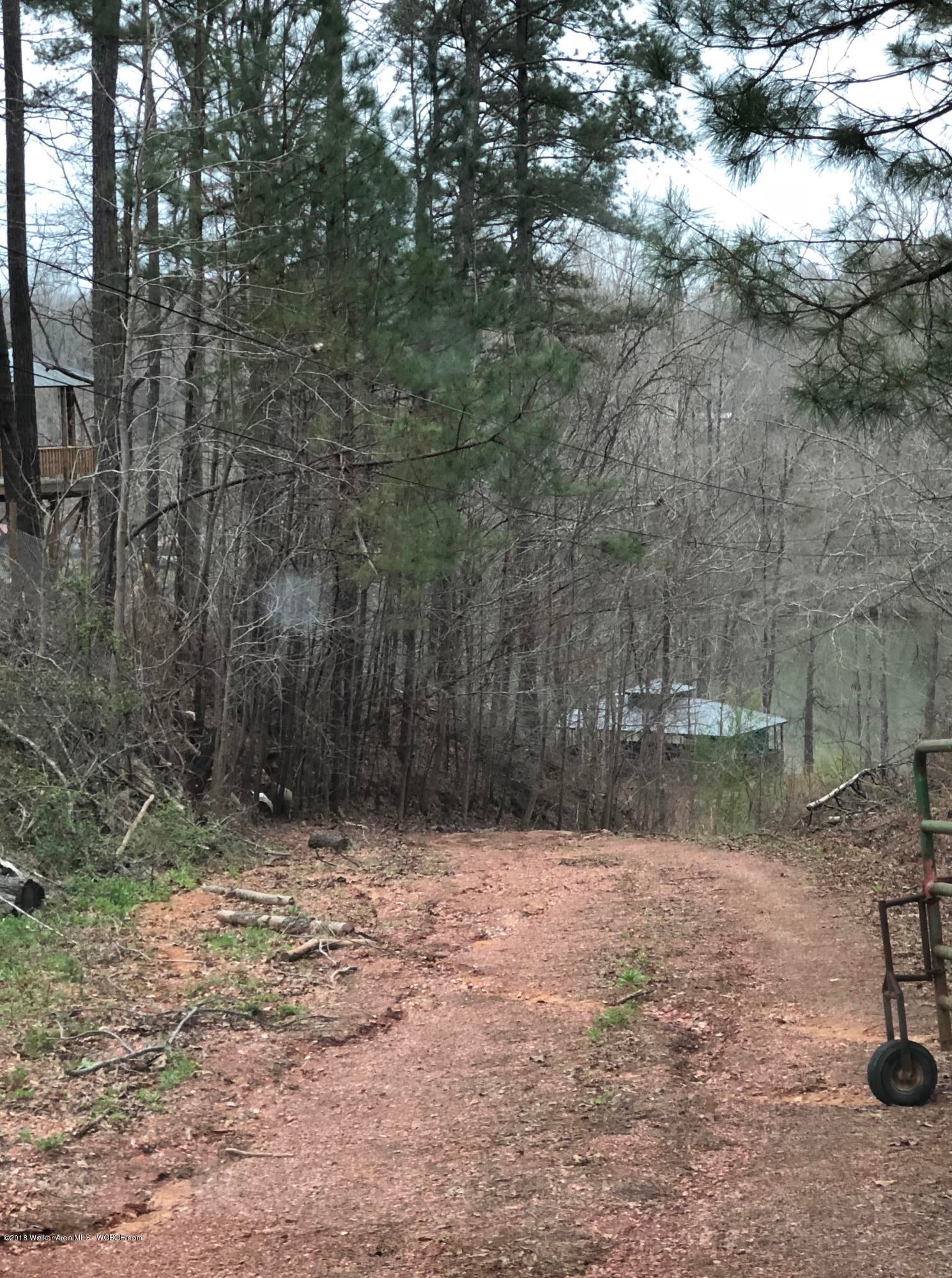 Lot 76 South Fork Road Quinton, AL 35130 - Photo 5 of 7 Gallery Image 5