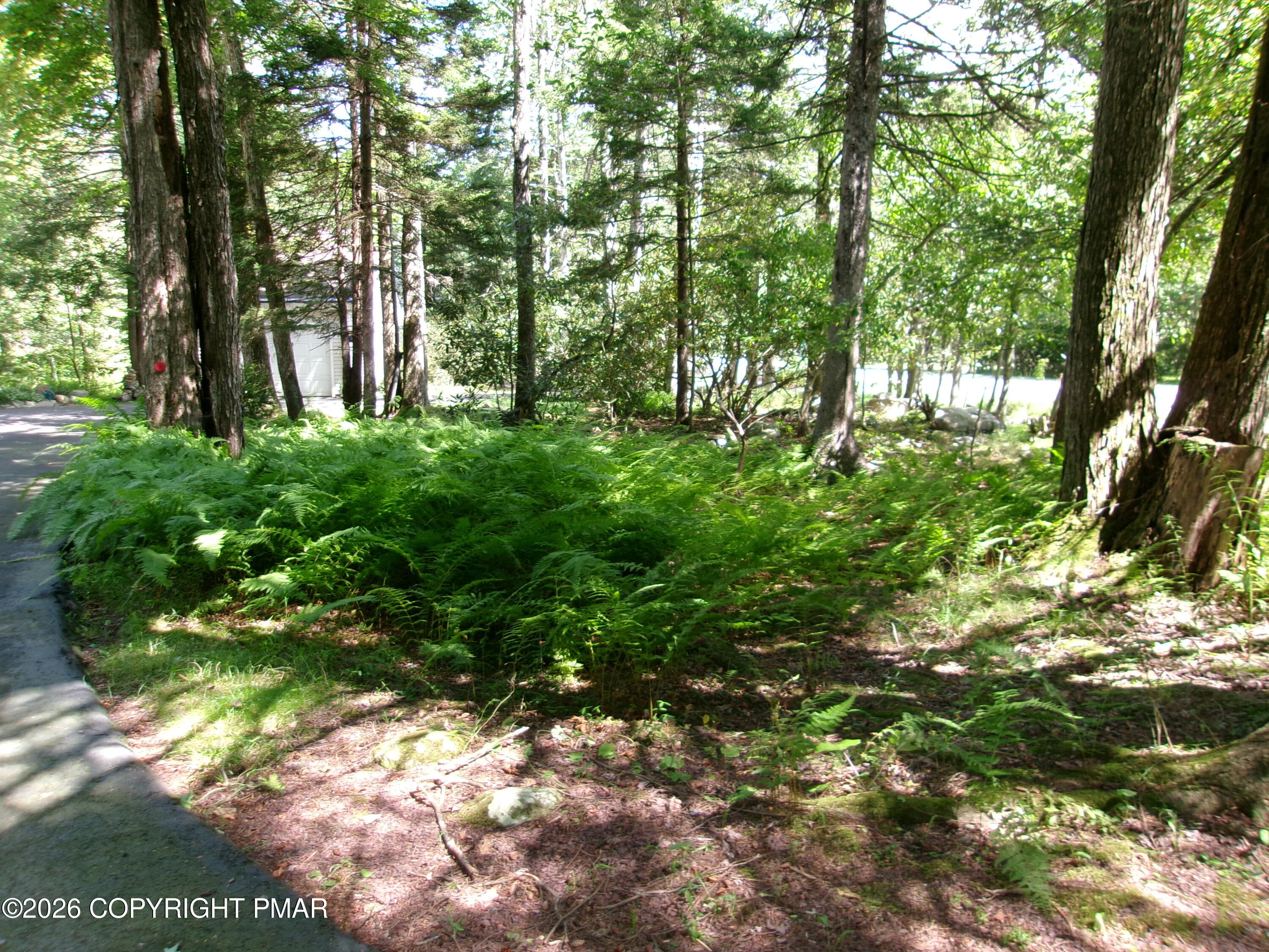 1231 Kilmer Road Tobyhanna, PA 18466 - Photo 15 of 86 entry driveway