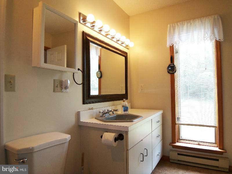 667 Morgan Grove Road Shepherdstown, WV 25443 - Photo 13 of 30 a bathroom with a sink a toilet and a mirror
