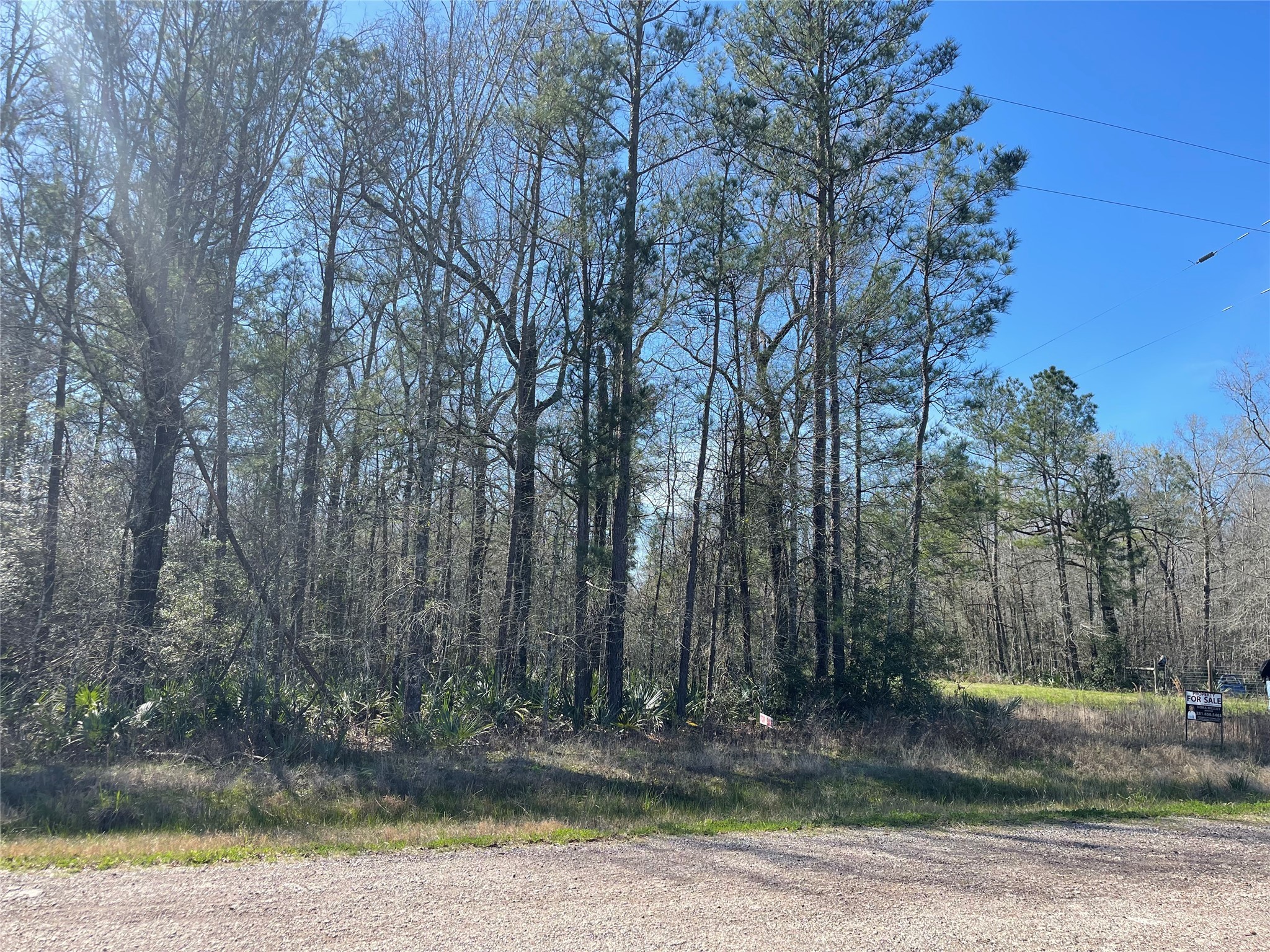 Tbd North Tbd N Country Place Shepherd, TX 77371 - Photo 4 of 10