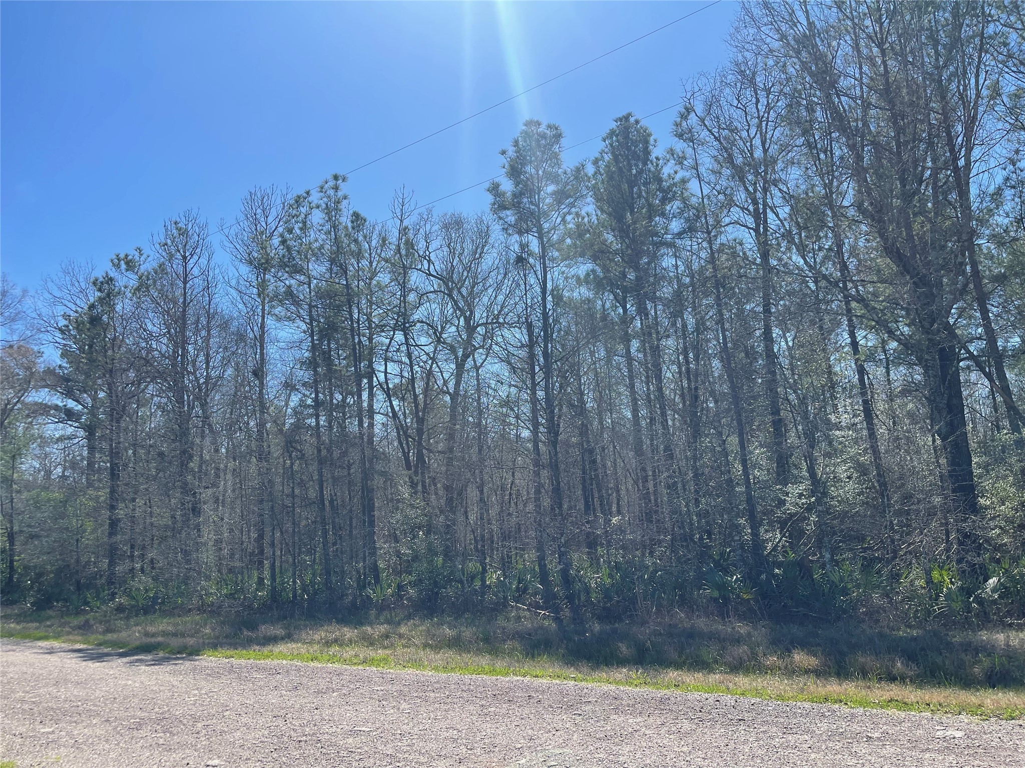 Tbd North Tbd N Country Place Shepherd, TX 77371 - Photo 5 of 10