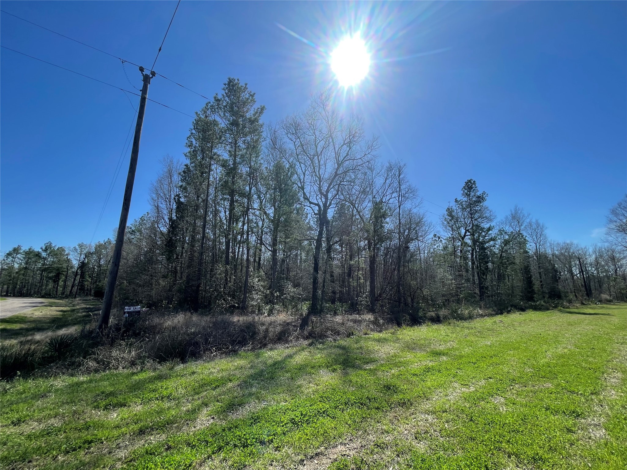 Tbd North Tbd N Country Place Shepherd, TX 77371 - Photo 7 of 10