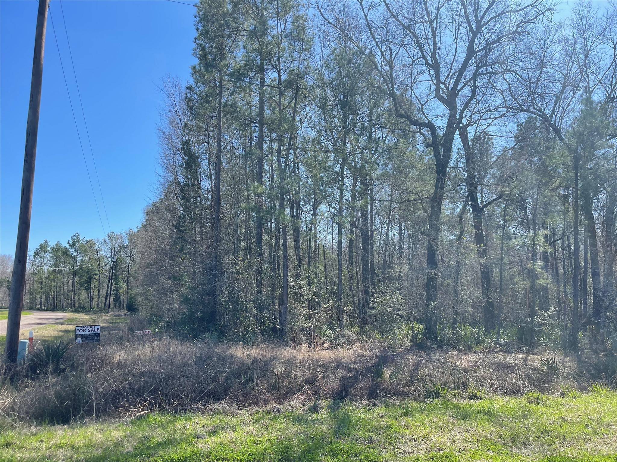 Tbd North Tbd N Country Place Shepherd, TX 77371 - Photo 8 of 10