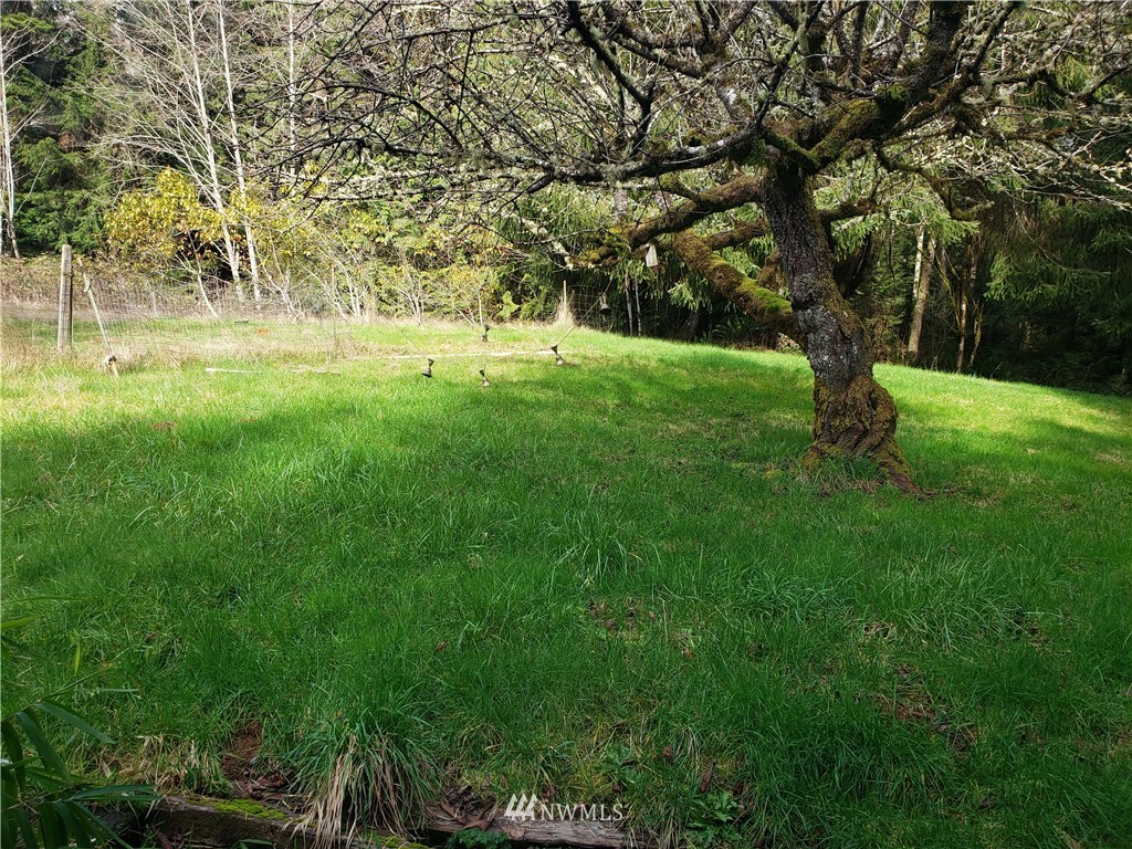 4146 Mayvolt Road Southeast Port Orchard, WA 98366 - Photo 16 of 20 Gallery Image 16