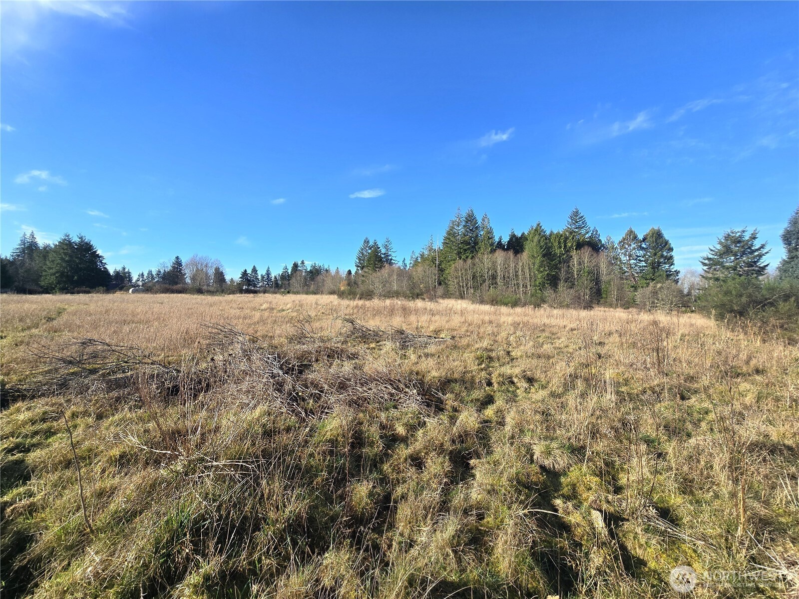 0 Garden Hill Road East Elma, WA 98541 - Photo 6 of 11 Gallery Image 6