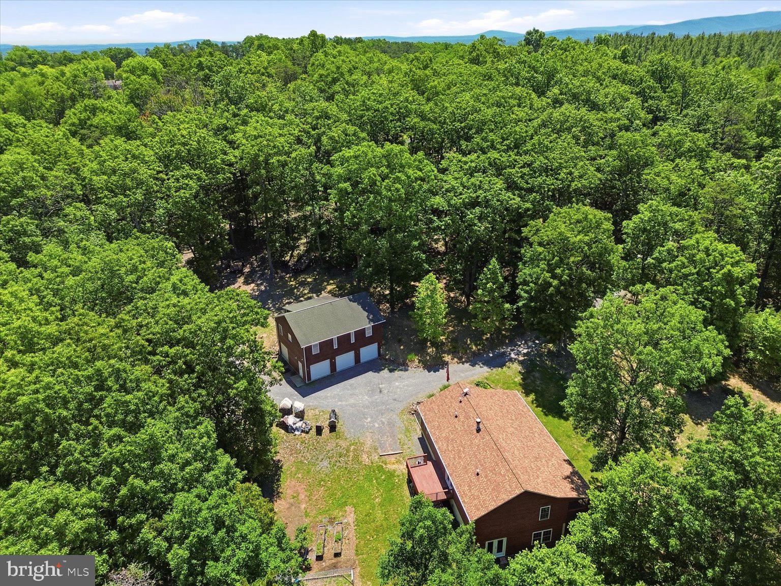 323 South Timber Ridge Road Cross Junction, VA 22625 - Photo 94 of 109 Secluded retreat amidst lush greenery.