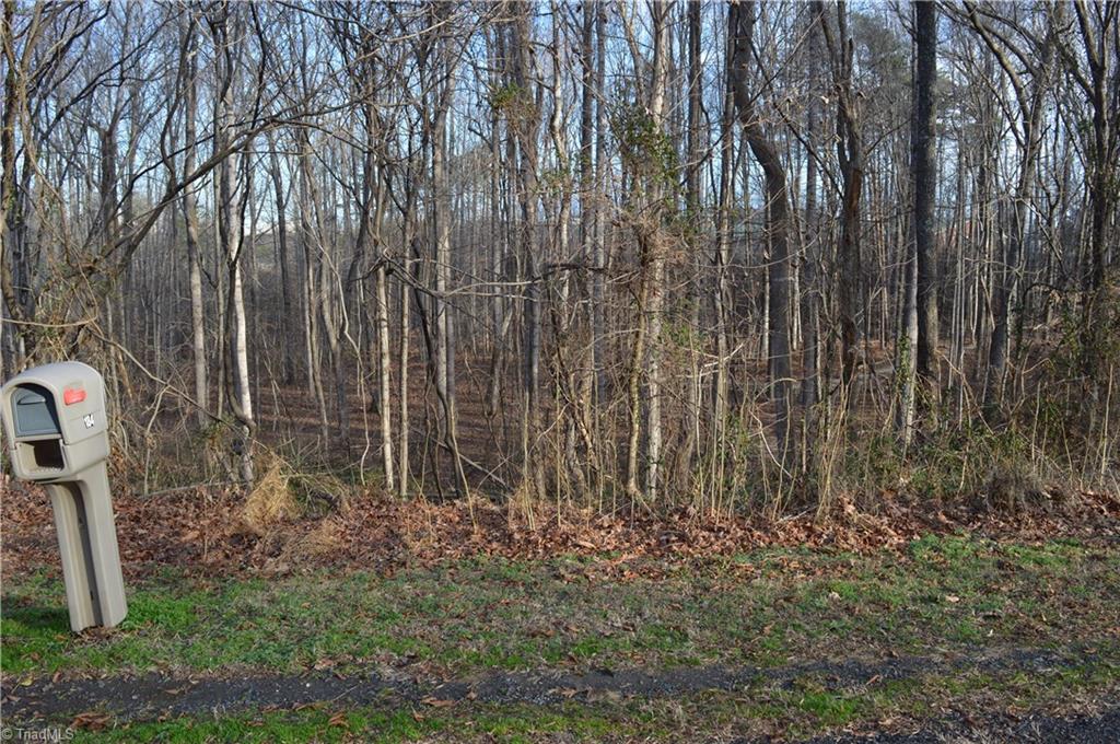 0 Longview Road Madison, NC 27025 - Photo 1 of 5 Gallery Image 1