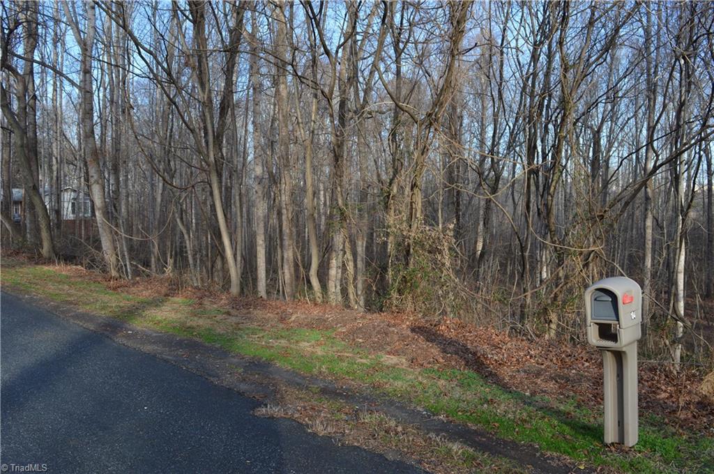 0 Longview Road Madison, NC 27025 - Photo 2 of 5 Gallery Image 2