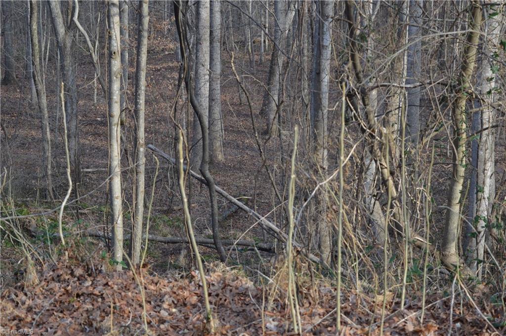 0 Longview Road Madison, NC 27025 - Photo 4 of 5 Gallery Image 4