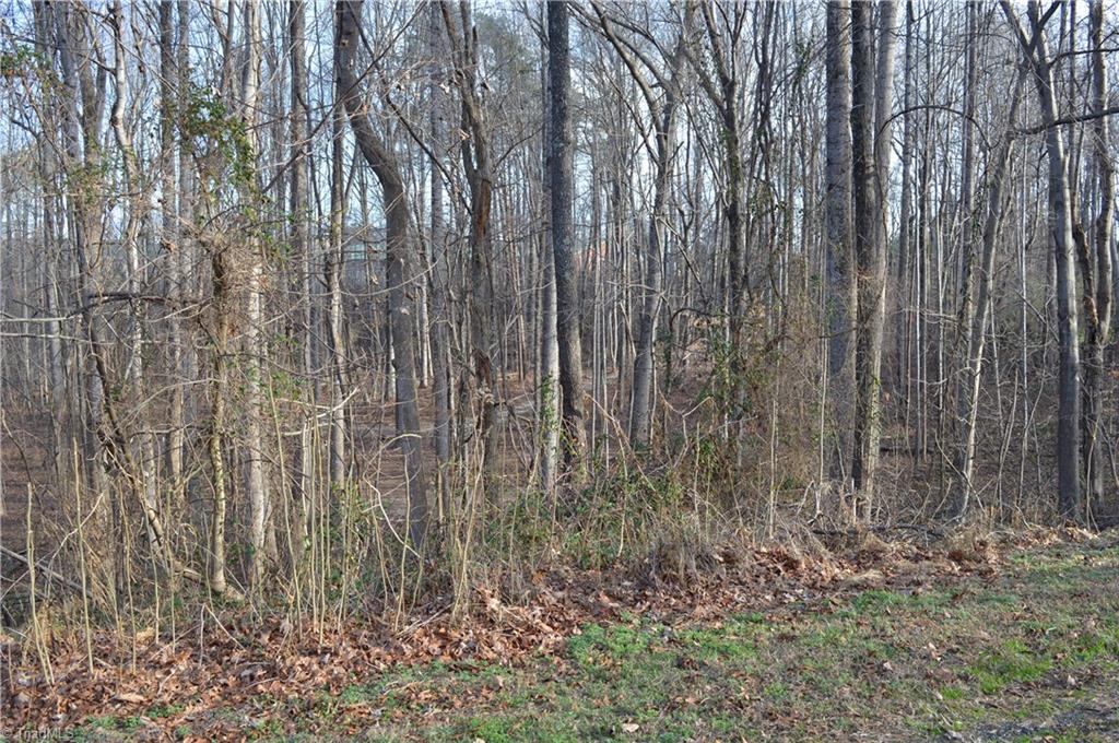 0 Longview Road Madison, NC 27025 - Photo 5 of 5 Gallery Image 5
