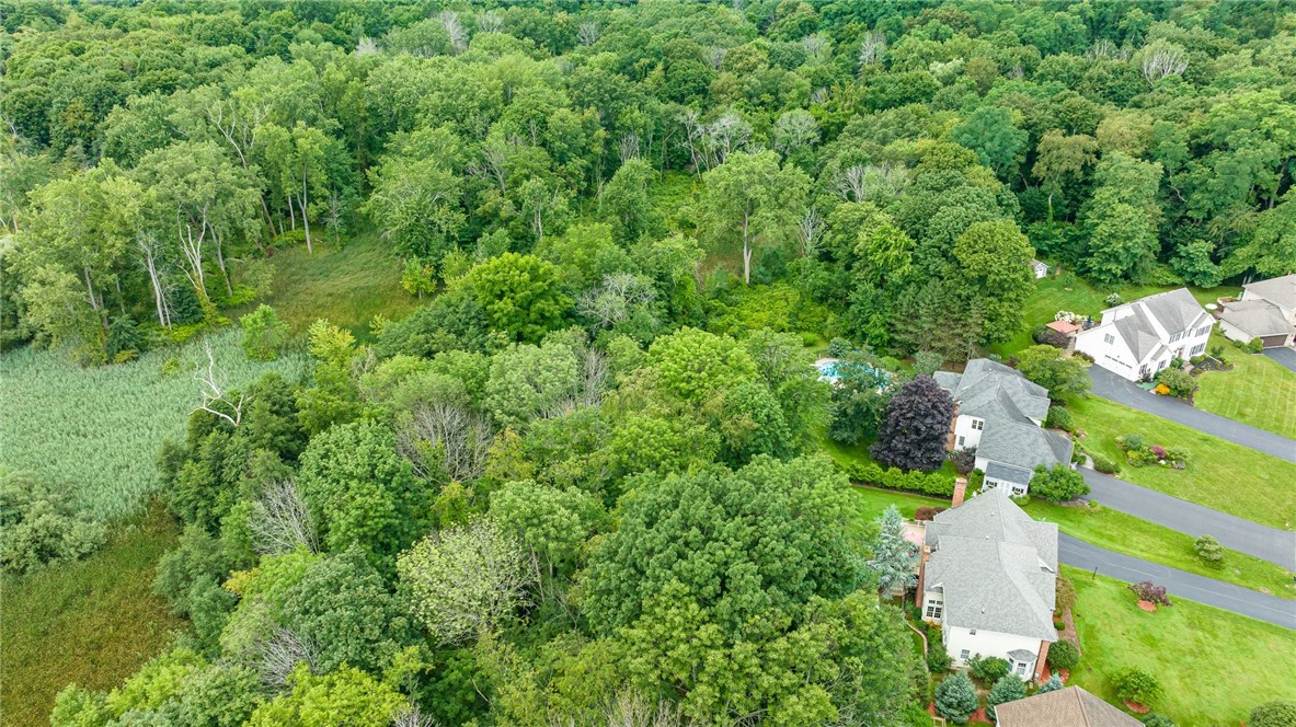 255 Totem Trail Irondequoit, NY 14617 - Photo 45 of 48