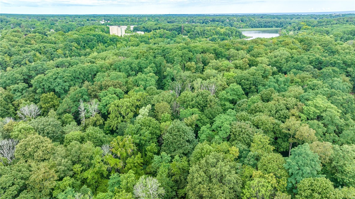 255 Totem Trail Irondequoit, NY 14617 - Photo 48 of 48 View of the river leading to Lake Ontario - a shor