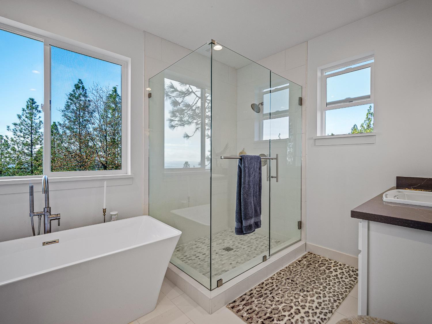 5915 Traverse Creek Road Garden Valley, CA 95633 - Photo 6 of 27