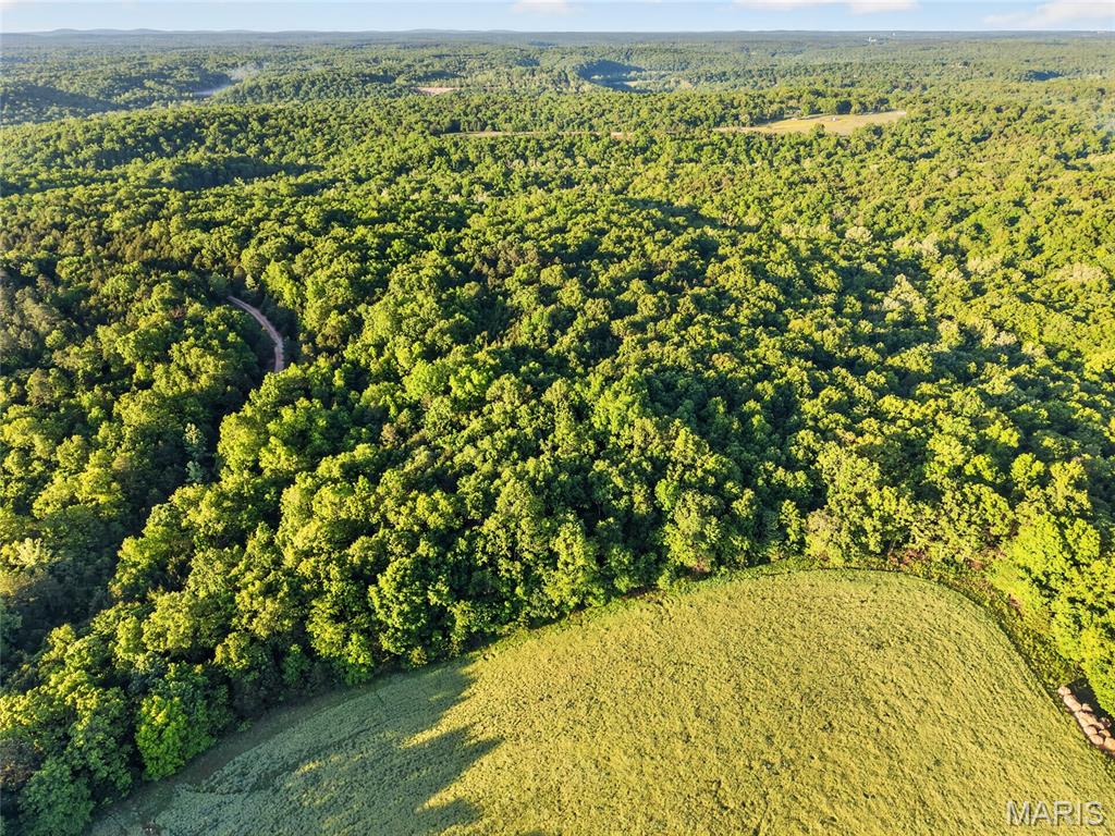 2 Blackwell Heights Road Blackwell, MO 63626 - Photo 2 of 43