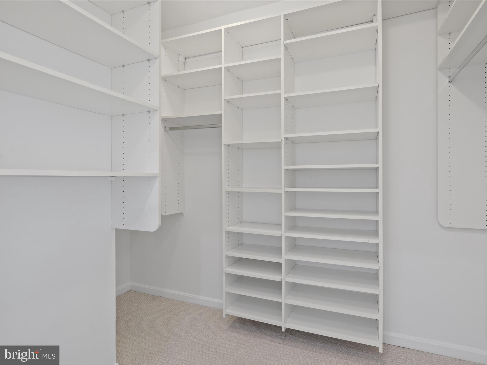 3830 9th Street North, Unit PH3E Arlington, VA 22203 - Photo 26 of 44 a view of walk in closet with empty racks