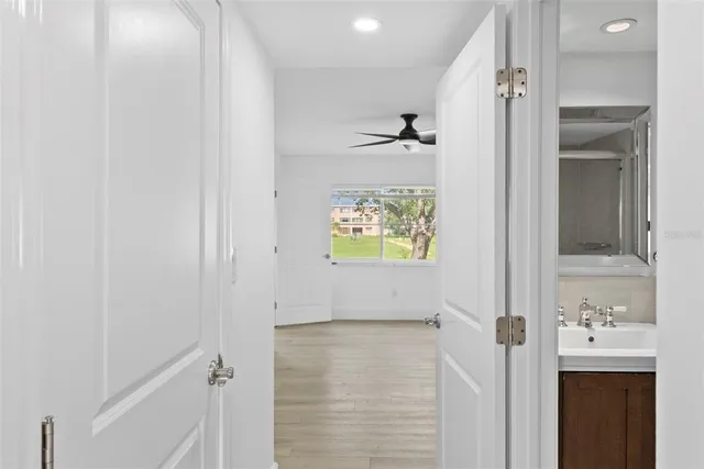 a view of a park with large trees