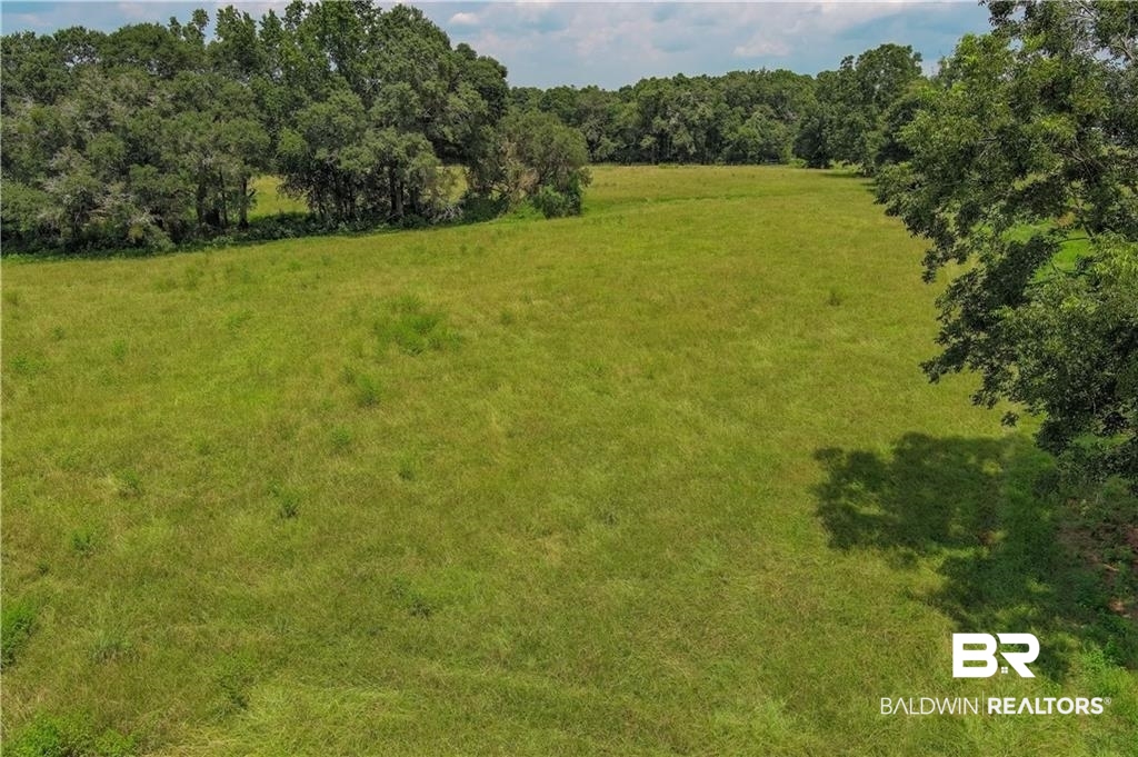 0 Circle R Farm Drive Florala, AL 36442 - Photo 19 of 25