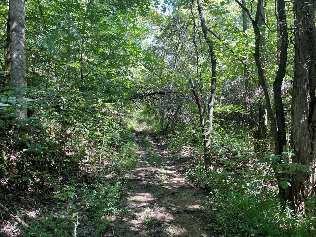 1549 Douglas Dam Road Sevierville, TN 37876 - Photo 29 of 30