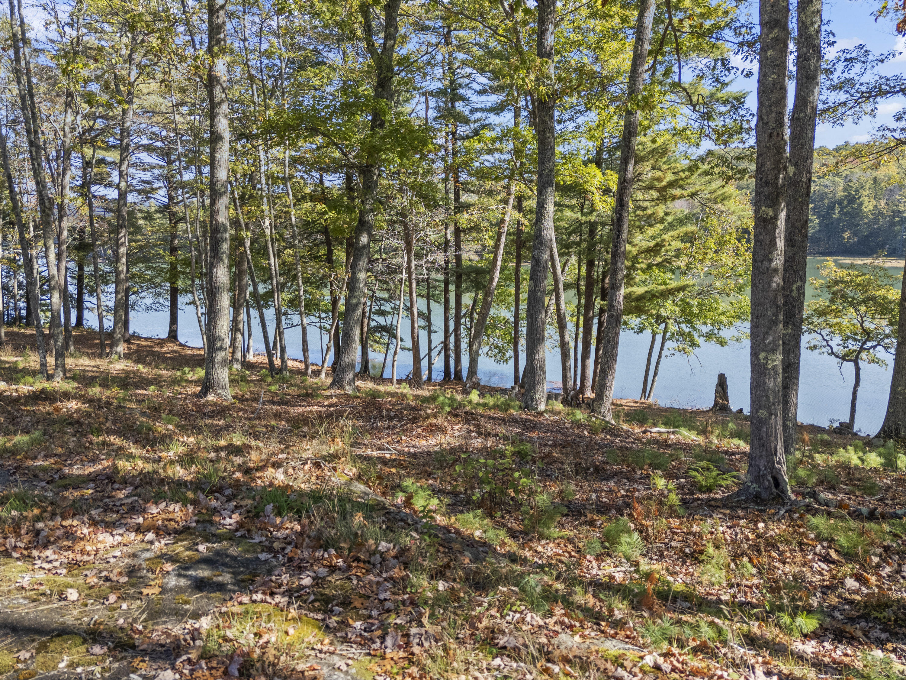96 Forest Haven Boothbay, ME 04537 - Photo 69 of 89 96 Forest Haven_169