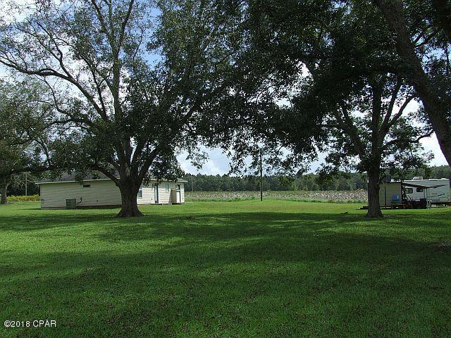 3664 Bush Road Graceville, FL 32440 - Photo 9 of 39 Gallery Image 9
