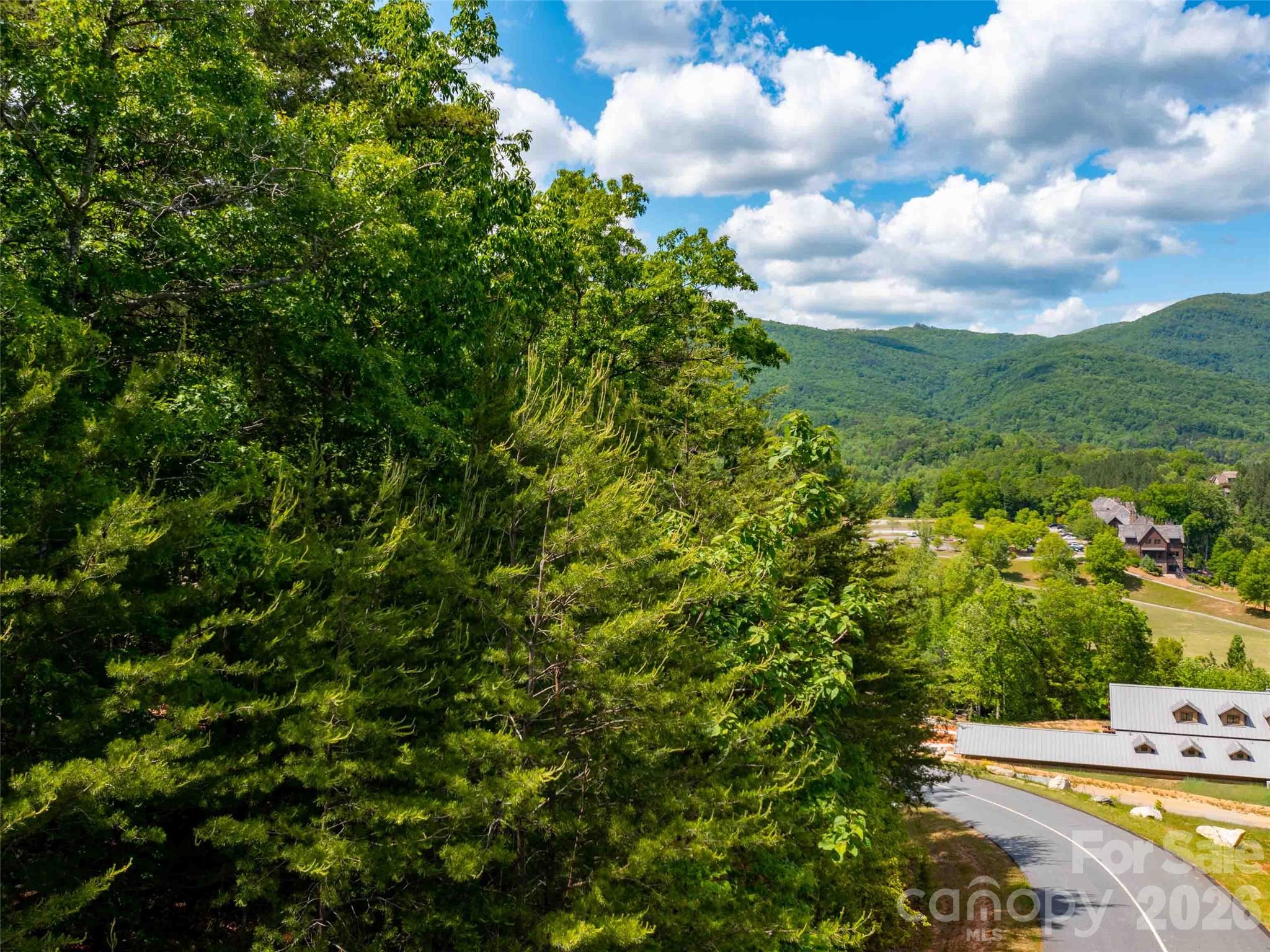 Lot 2012 Deep Gap Farm Rd Mill Spring East Mill Spring, NC 28756 - Photo 7 of 15