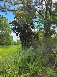 $29,500 | 225 Bayview Street, Pass Christian, MS 39571