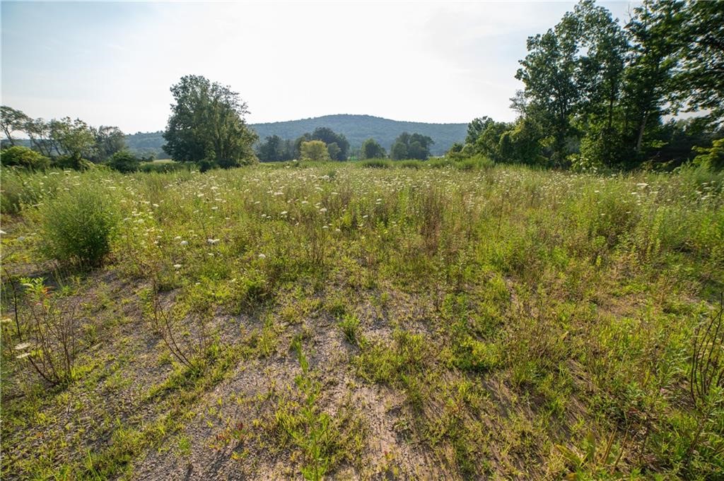 769 County Highway Mount Upton, NY 13809 - Photo 14 of 49