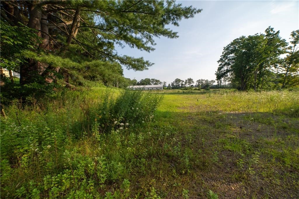 769 County Highway Mount Upton, NY 13809 - Photo 18 of 49