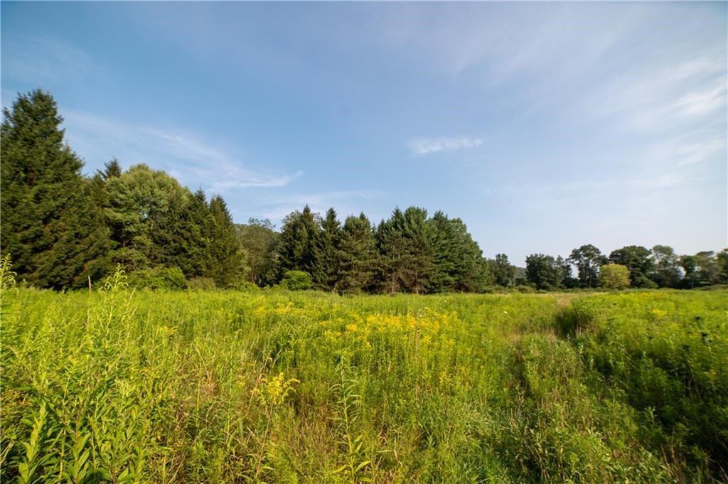 769 County Highway Mount Upton, NY 13809 - Photo 19 of 49