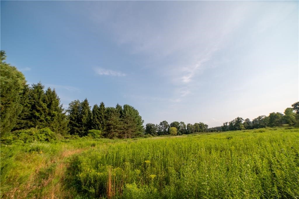 769 County Highway Mount Upton, NY 13809 - Photo 3 of 49