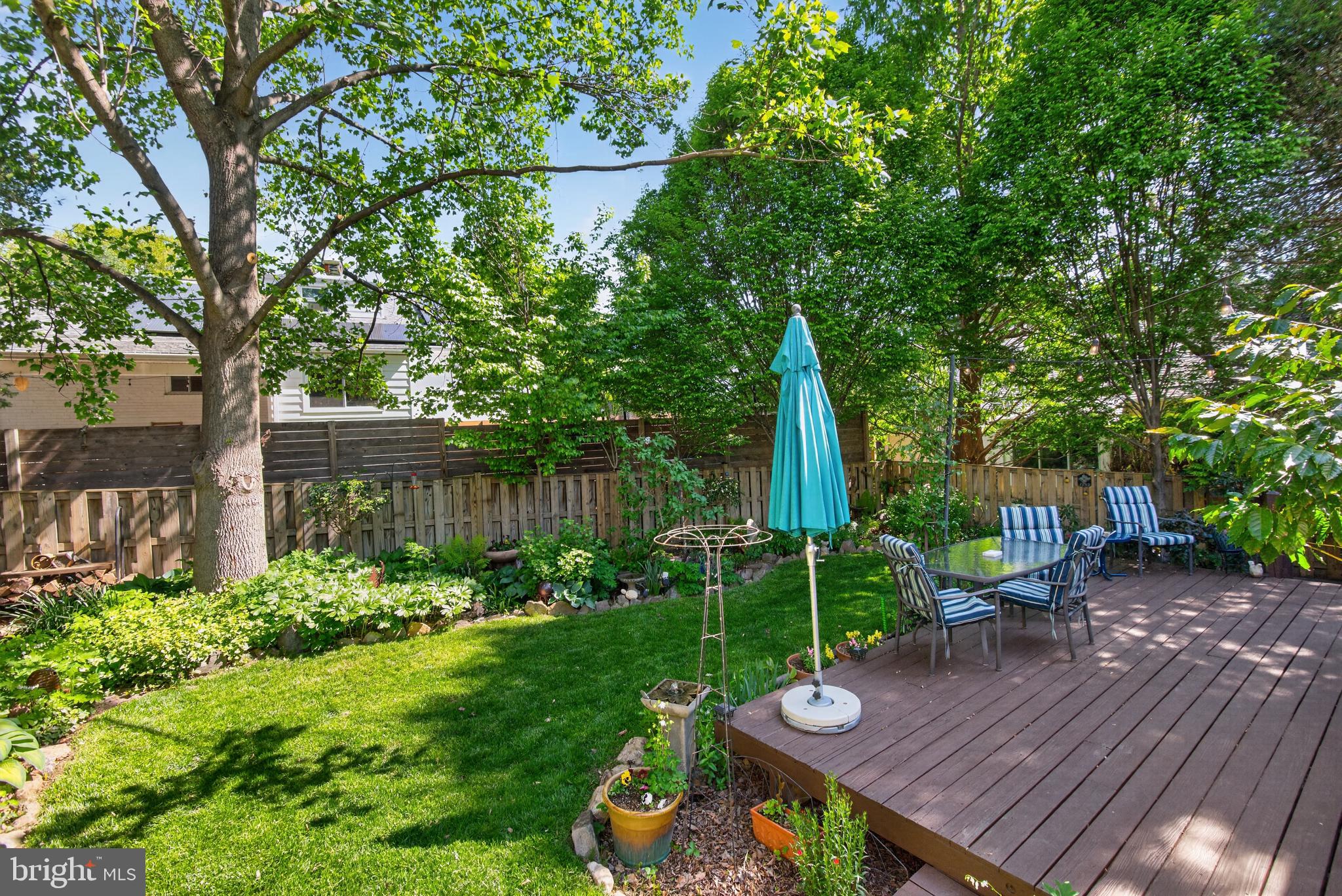 203 Baden Street Silver Spring, MD 20901 - Photo 43 of 48 Gallery Image 43