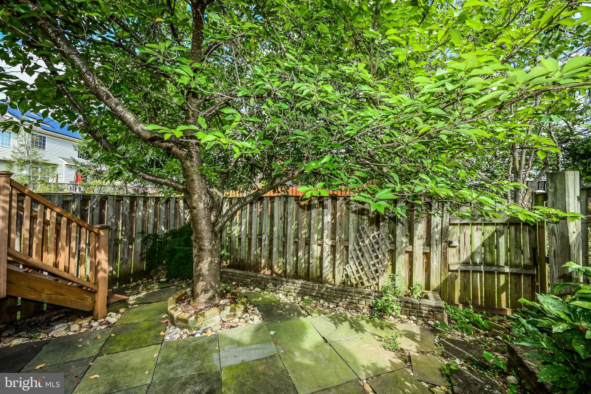 47598 Comer Square Sterling, VA 20165 - Photo 26 of 27