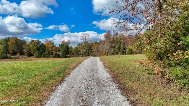 a view of a yard with large trees