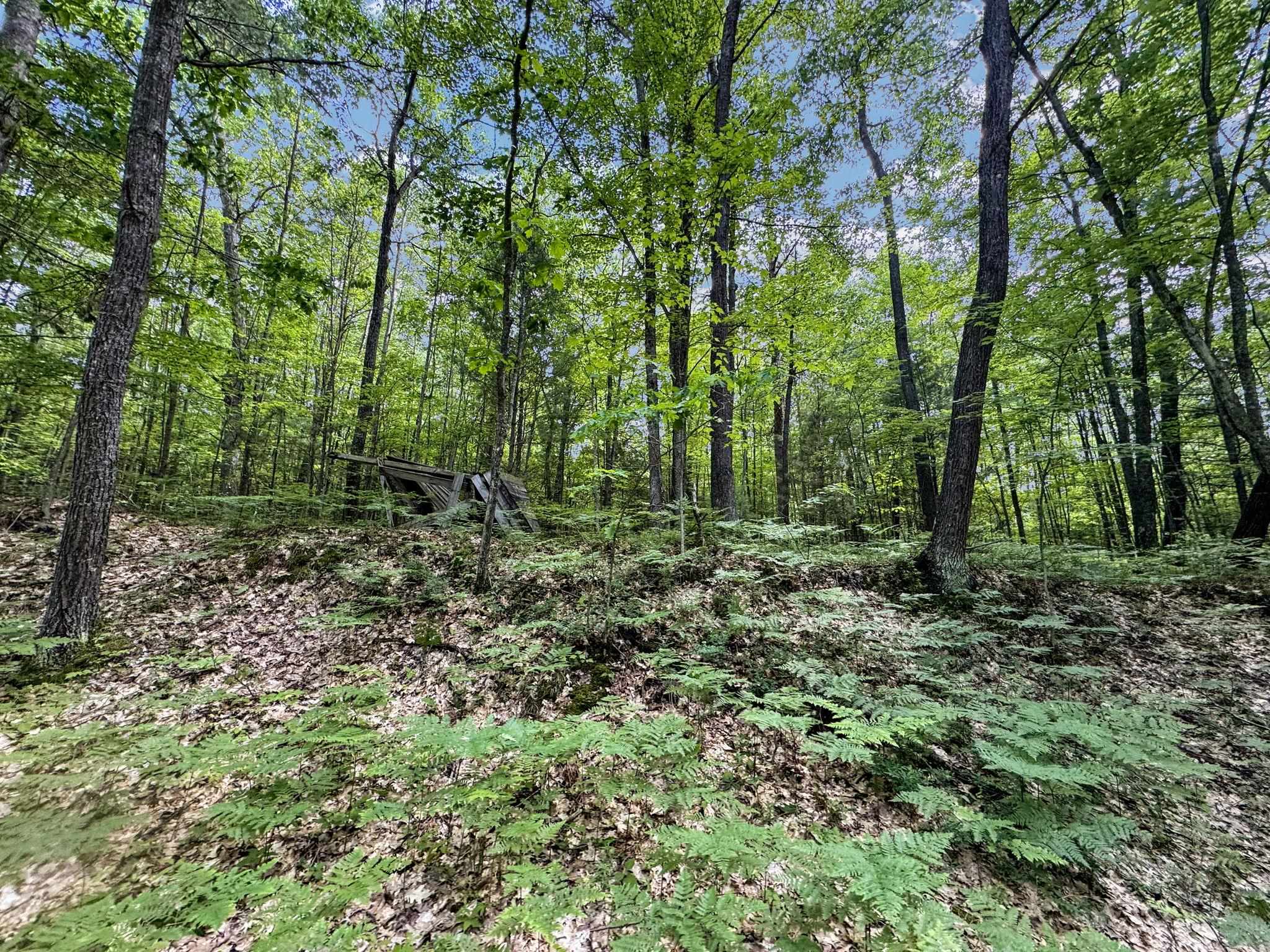 Parcel A Seeley Road Lake City, MI 49651 - Photo 4 of 16