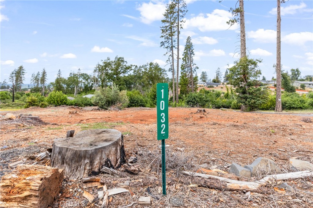 1032 Pearson Road Paradise, CA 95969 - Photo 8 of 13