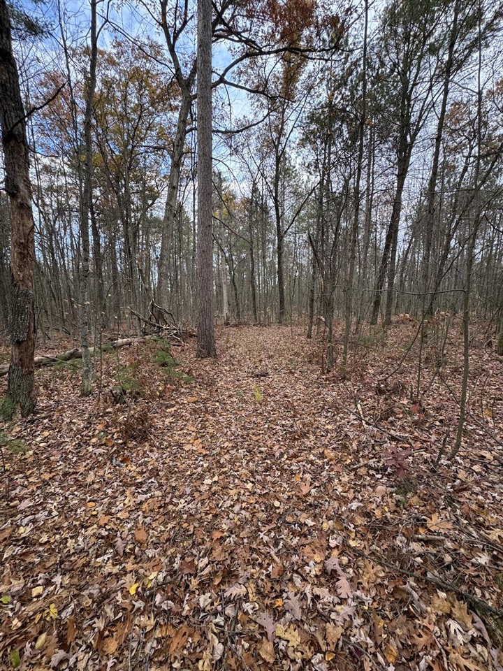 4335 Kings Corner Road Glennie, MI 48737 - Photo 50 of 90