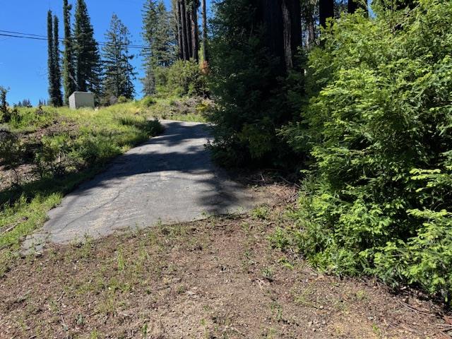 a view of a pathway with a yard