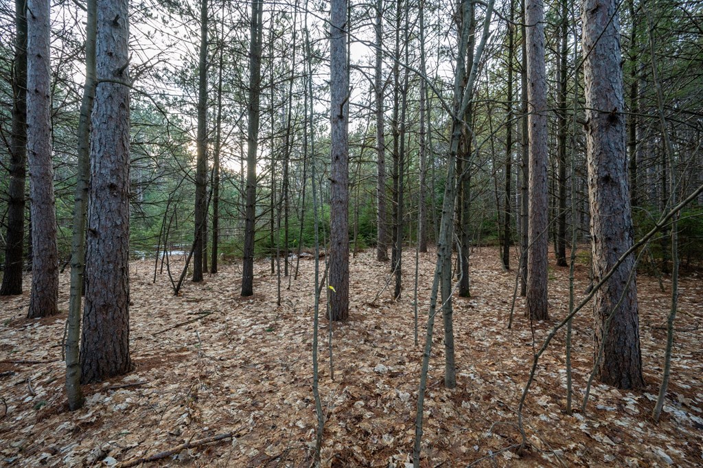 Lot 1 Quarterline Road Fish Creek, WI 54212 - Photo 14 of 21