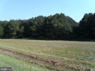 0 Cedartown Road Newark, MD 21841 - Photo 1 of 3